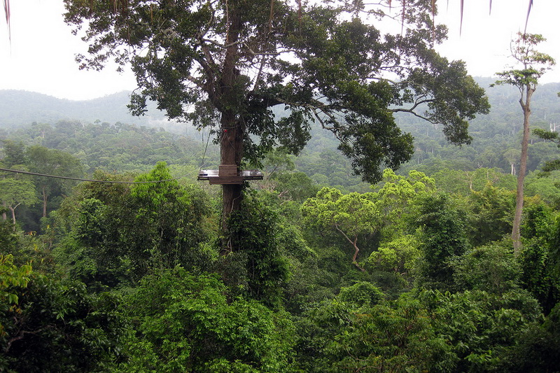 Thailand, Pattaya, Flight of the Gibbon